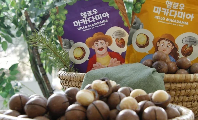 가성비 최고 바우플마카다미아 인스타그램에서 화제의 제품!