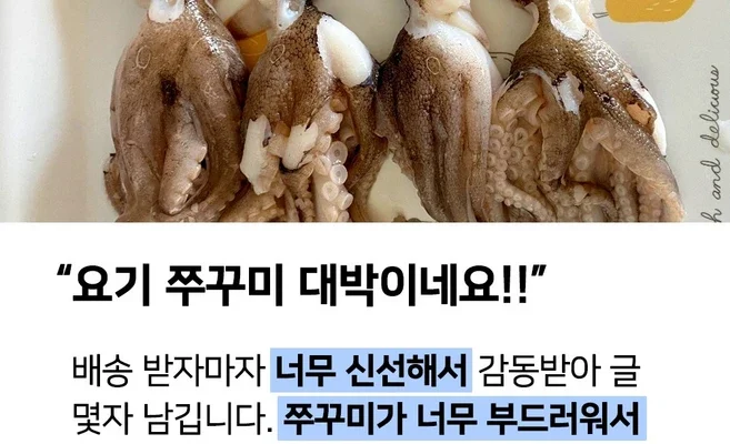 리뷰좋은 활쭈꾸미 실사용 후기 가격비교 및 장단점 비교