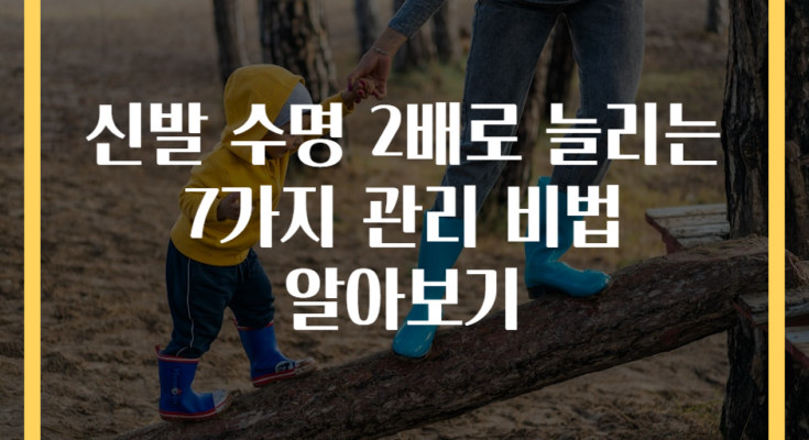 신발 수명 2배로 늘리는 7가지 관리 비법 알아보기