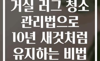 거실 러그 청소 관리법으로 10년 새것처럼 유지하는 비법