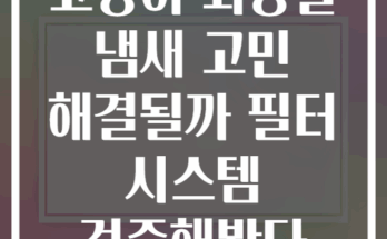 고양이 화장실 냄새 고민 해결될까 필터 시스템 검증해봤다