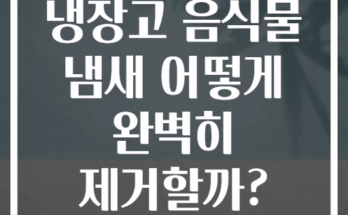 냉장고 음식물 냄새 어떻게 완벽히 제거할까?