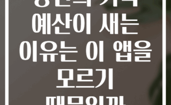 당신의 가족 예산이 새는 이유는 이 앱을 모르기 때문일까