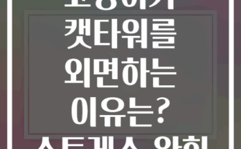 당신의 고양이가 캣타워를 외면하는 이유는? 스트레스 완화 배치 비법