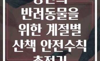 당신의 반려동물을 위한 계절별 산책 안전수칙 총정리