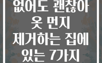 린트 롤러 없어도 괜찮아 옷 먼지 제거하는 집에 있는 7가지 대체 아이템