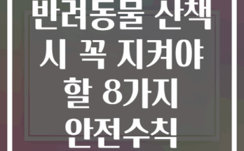 반려동물 산책 시 꼭 지켜야 할 8가지 안전수칙