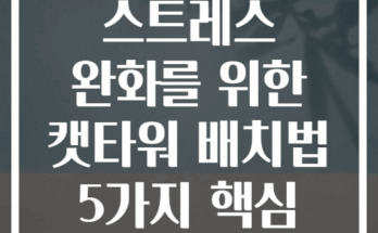 반려묘 스트레스 완화를 위한 캣타워 배치법 5가지 핵심 원칙