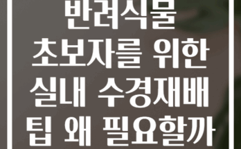 반려식물 초보자를 위한 실내 수경재배 팁 왜 필요할까