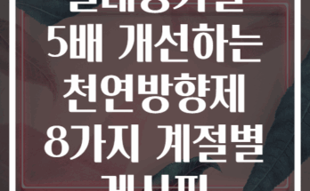 실내공기질 5배 개선하는 천연방향제 8가지 계절별 레시피