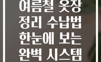 여름철 옷장 정리 수납법 한눈에 보는 완벽 시스템