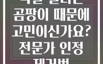 욕실 실리콘 곰팡이 때문에 고민이신가요? 전문가 인정 제거법