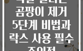 욕실 실리콘 곰팡이 제거 5단계 비법과 락스 사용 필수 주의점