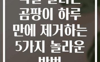 욕실 실리콘 곰팡이 하루 만에 제거하는 5가지 놀라운 방법