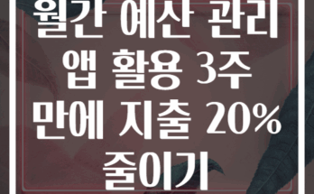 월간 예산 관리 앱 활용 3주 만에 지출 20% 줄이기